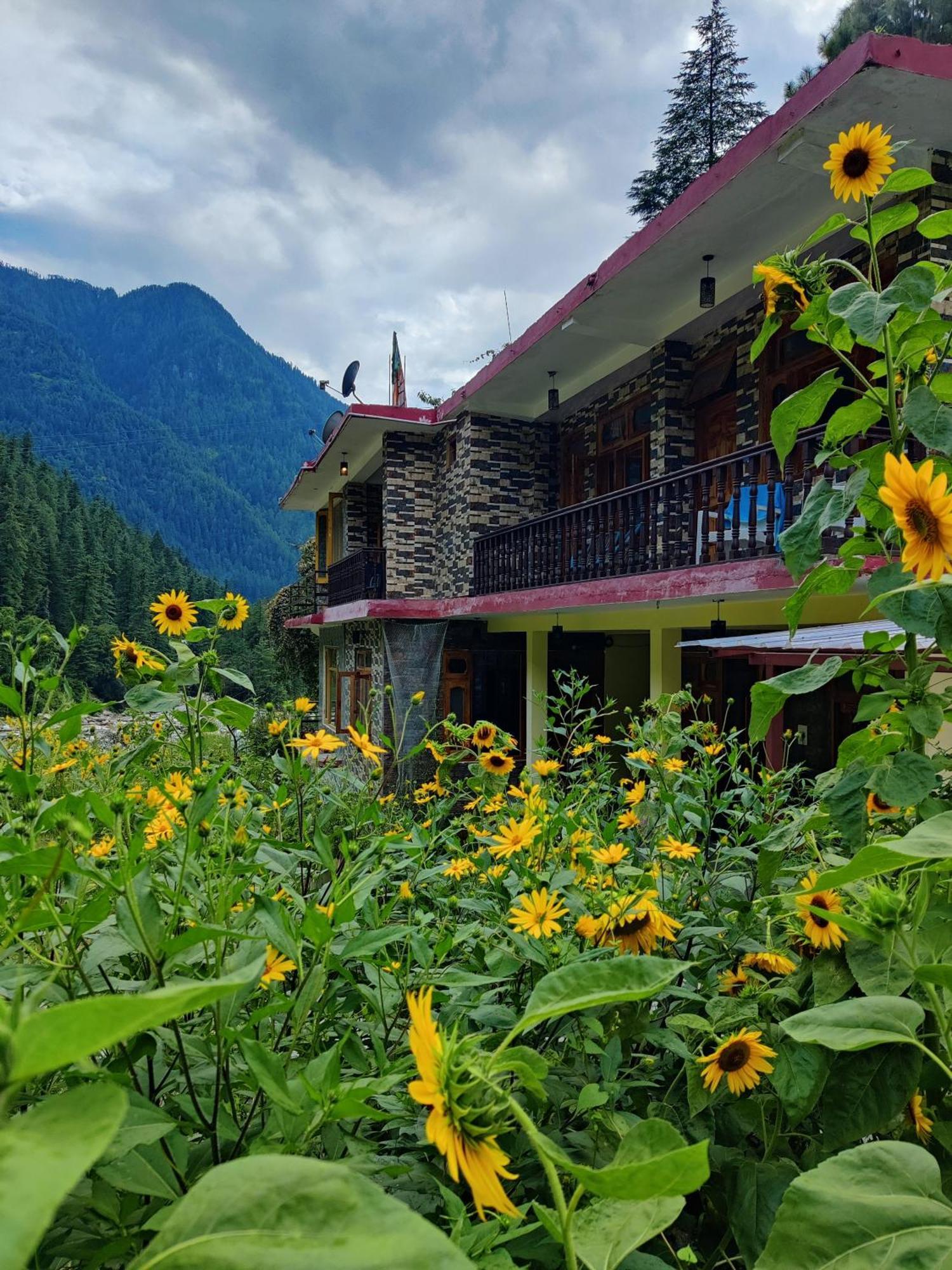 Flipsyde Retreat 호텔 카솔 외부 사진