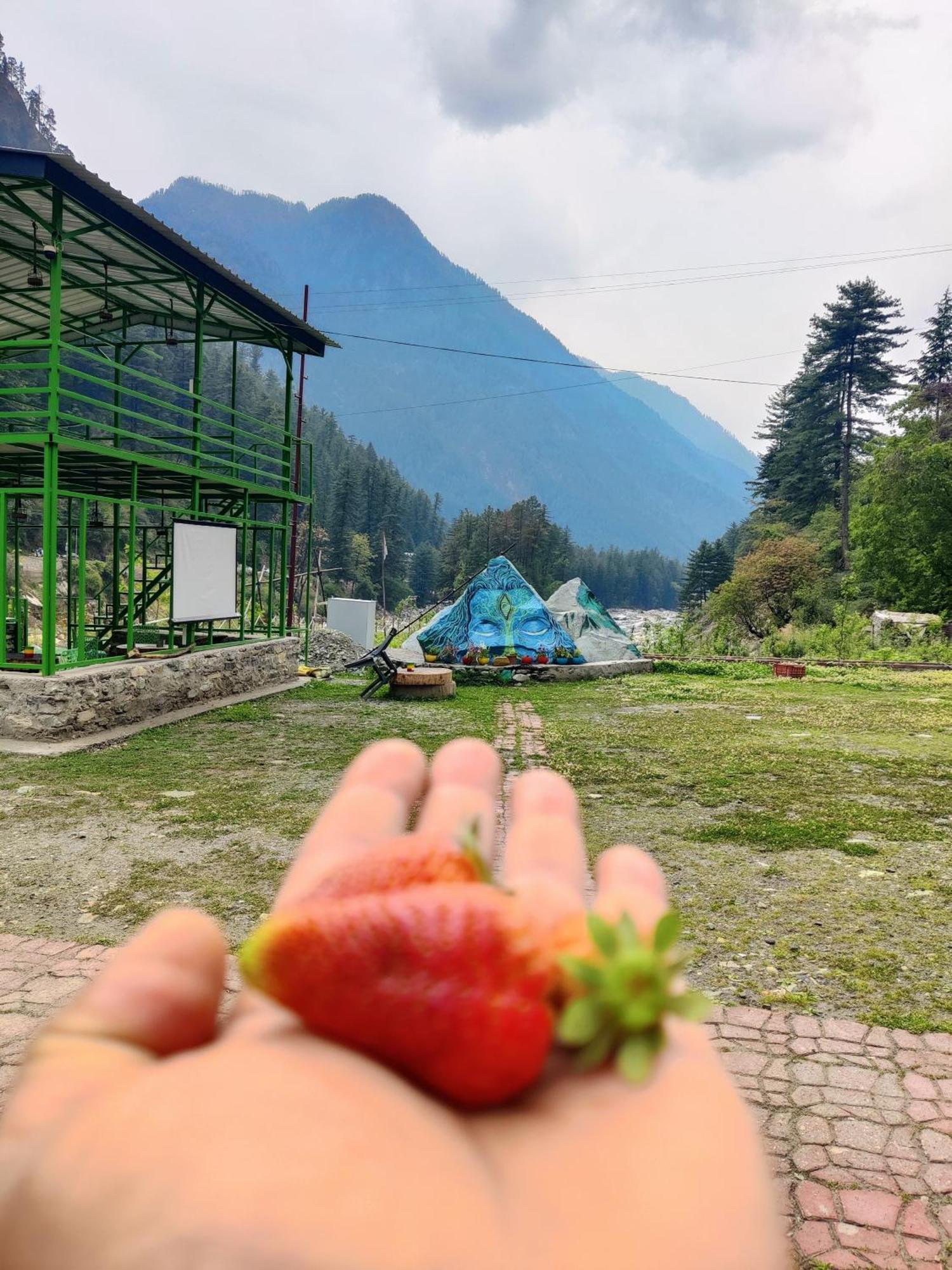 Flipsyde Retreat 호텔 카솔 외부 사진